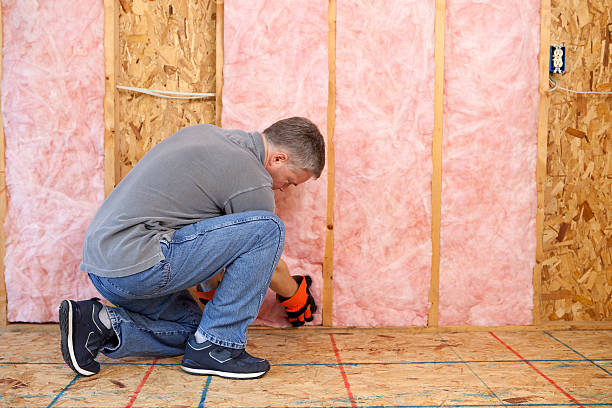 Best DIY Insulation Kits and Guidance in Laurel, MD